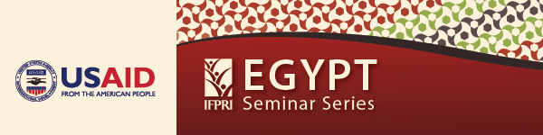 Seminar Series_USAID_Mailchimp final banner