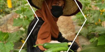 NEW PUBLICATION: Regional mapping of anticipatory action capacities in the Near East and North Africa agricultural sector