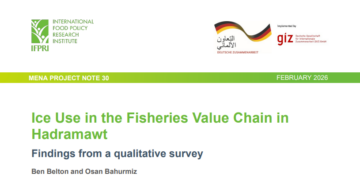 Ice use in the fisheries value chain in Hadramawt: Findings from a qualitative survey