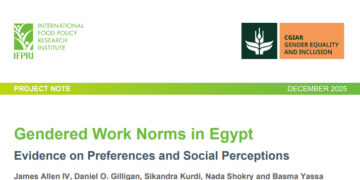 NEW PUBLICATION | Gendered work norms in Egypt: Evidence on preferences and social perceptions