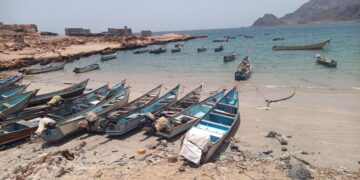 Fisheries for Economic Recovery and Food Security in Yemen